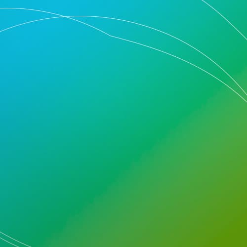 Meet ScaleHub’s 5 new team members