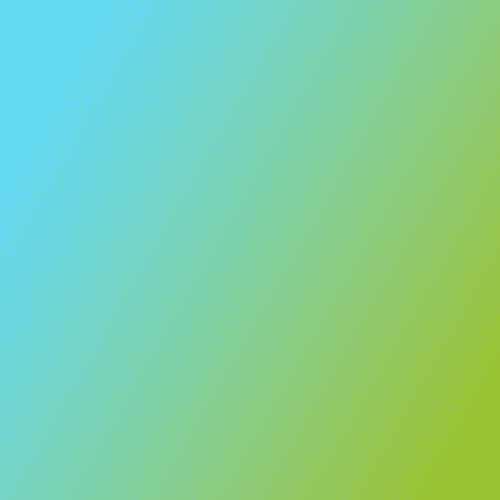 ScaleHub BPO Crowd Boost: Introducing SIBS