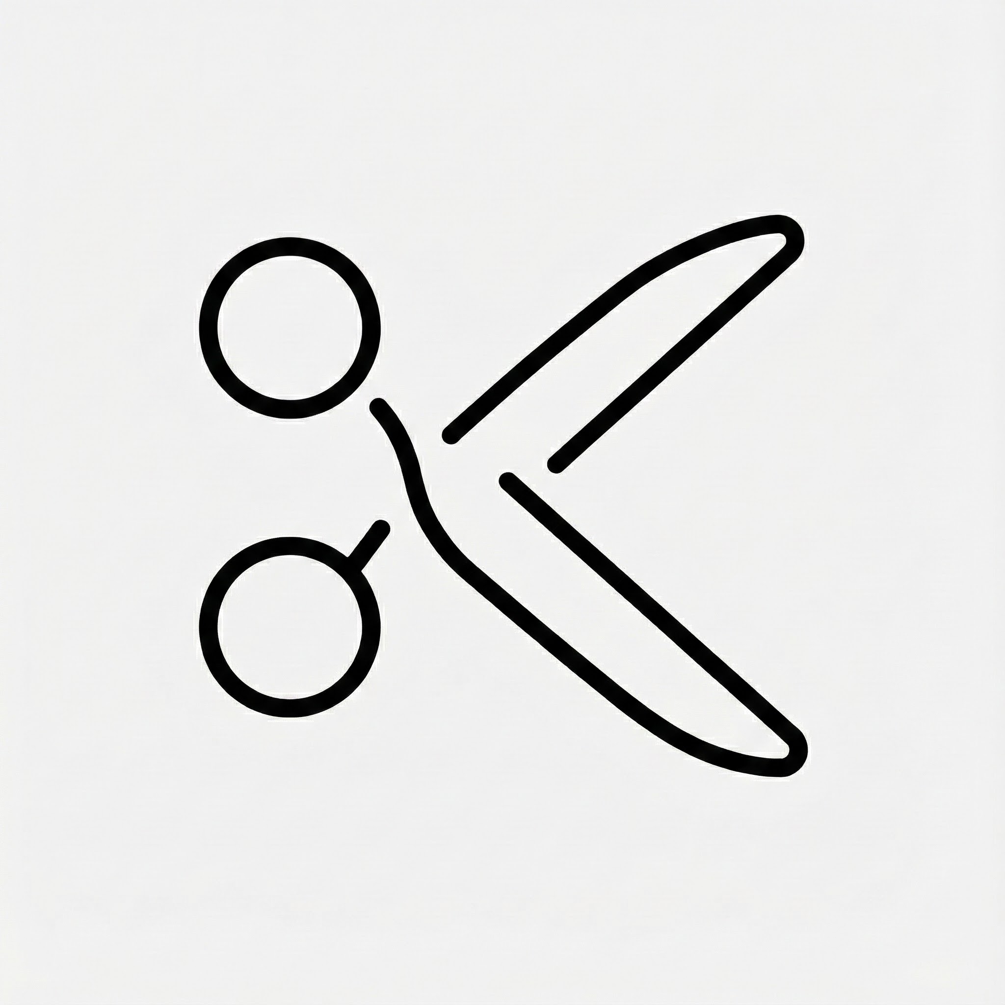 Anonymization & Snippeting Icon